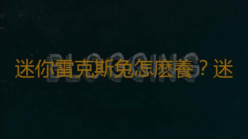 迷你雷克斯兔怎麽養？迷你雷克斯兔的產地