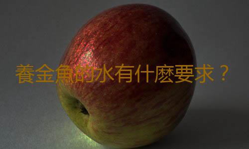 養金魚的水有什麽要求？