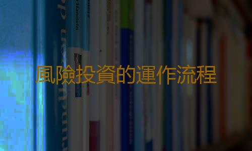 風險投資的運作流程