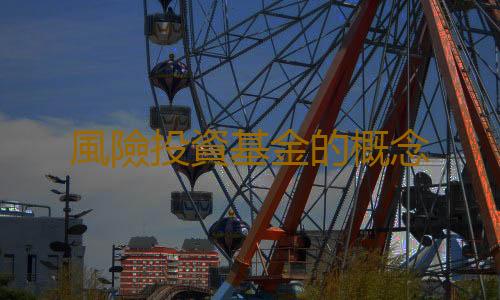 風險投資基金的概念