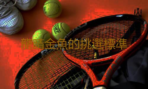 龍睛金魚的挑選標準