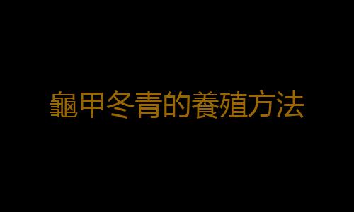 龜甲冬青的養殖方法