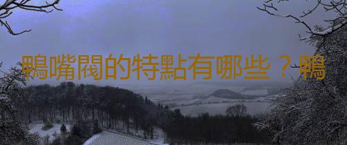 鴨嘴閥的特點有哪些？鴨嘴閥的工作原理