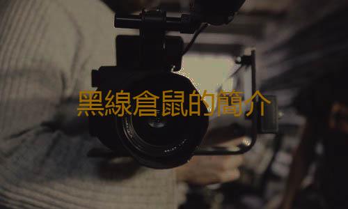 黑線倉鼠的簡介