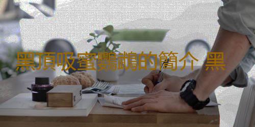 黑頂吸蜜鸚鵡的簡介 黑頂吸蜜鸚鵡的產地